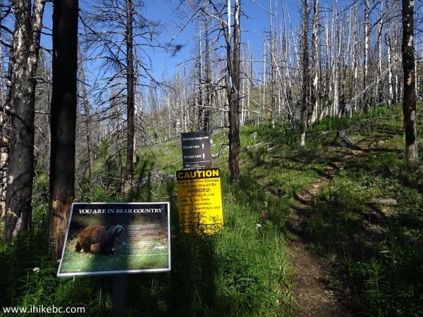 Crystal Lake Trail