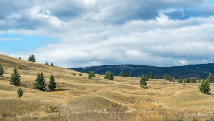 Greenstone Mountain Provincial Park