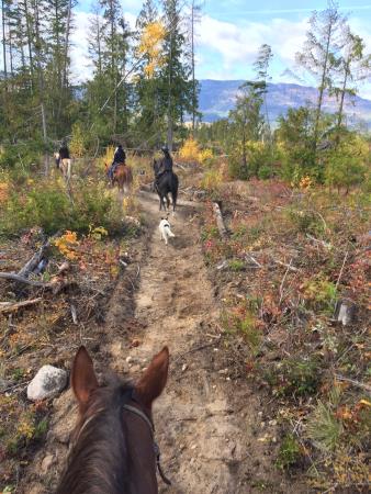 Skimikin Trails