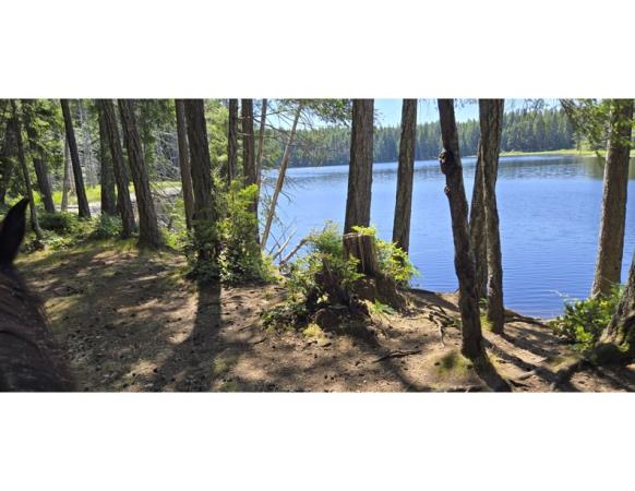 Denman Island park