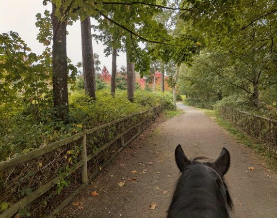 Highpoint Equestrian Estate