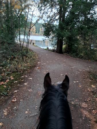 Elk Beaver Lake trails