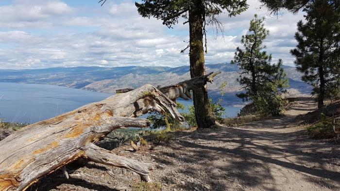 Telemark Trail