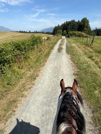 Matsqui Trail Regional Park